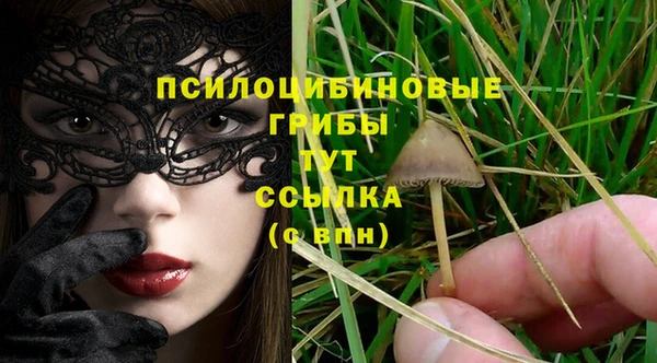 эйфоретик Алексеевка